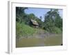 River Bank Settlement, Amazon, Peru, South America-Derek Furlong-Framed Photographic Print