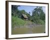 River Bank Settlement, Amazon, Peru, South America-Derek Furlong-Framed Photographic Print