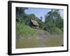 River Bank Settlement, Amazon, Peru, South America-Derek Furlong-Framed Photographic Print