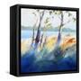 River Bank Shadows-Craig Trewin Penny-Framed Stretched Canvas
