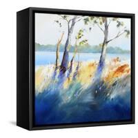 River Bank Shadows-Craig Trewin Penny-Framed Stretched Canvas