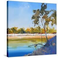 River Bank-Craig Trewin Penny-Stretched Canvas