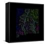 River Basins Of New Mexico In Rainbow Colours-Grasshopper Geography-Framed Stretched Canvas
