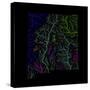 River Basins Of New Mexico In Rainbow Colours-Grasshopper Geography-Stretched Canvas