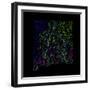 River Basins Of New Mexico In Rainbow Colours-Grasshopper Geography-Framed Giclee Print