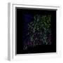 River Basins Of New Mexico In Rainbow Colours-Grasshopper Geography-Framed Giclee Print