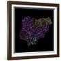 River Basins Of Nigeria In Rainbow Colours-Grasshopper Geography-Framed Giclee Print