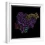 River Basins Of Nigeria In Rainbow Colours-Grasshopper Geography-Framed Giclee Print