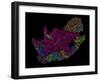 River Basins Of South Africa In Rainbow Colours-Grasshopper Geography-Framed Giclee Print