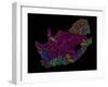 River Basins Of South Africa In Rainbow Colours-Grasshopper Geography-Framed Giclee Print