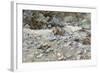 River Bed-John Singer Sargent-Framed Giclee Print