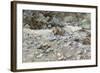 River Bed-John Singer Sargent-Framed Giclee Print