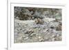 River Bed-John Singer Sargent-Framed Giclee Print