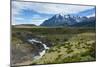 River before the Torres Del Paine National Park, Patagonia, Chile, South America-Michael Runkel-Mounted Photographic Print