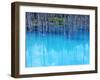 River Biei-null-Framed Photographic Print