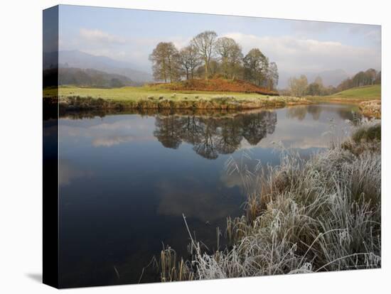 River Brathay in Winter, Near Elterwater, Lake District, Cumbria, England, United Kingdom-Steve & Ann Toon-Stretched Canvas