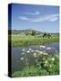 River Brue with Glastonbury Tor in the Distance, Somerset, England, United Kingdom-Chris Nicholson-Stretched Canvas