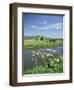 River Brue with Glastonbury Tor in the Distance, Somerset, England, United Kingdom-Chris Nicholson-Framed Photographic Print