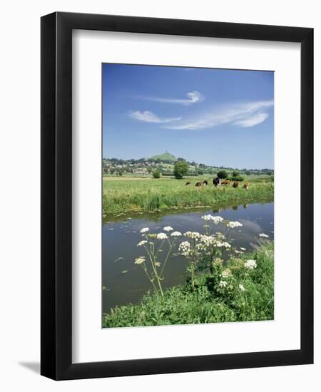 River Brue with Glastonbury Tor in the Distance, Somerset, England, United Kingdom-Chris Nicholson-Framed Photographic Print