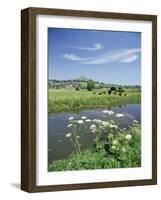 River Brue with Glastonbury Tor in the Distance, Somerset, England, United Kingdom-Chris Nicholson-Framed Photographic Print