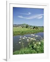 River Brue with Glastonbury Tor in the Distance, Somerset, England, United Kingdom-Chris Nicholson-Framed Photographic Print