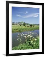River Brue with Glastonbury Tor in the Distance, Somerset, England, United Kingdom-Chris Nicholson-Framed Photographic Print