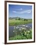 River Brue with Glastonbury Tor in the Distance, Somerset, England, United Kingdom-Chris Nicholson-Framed Photographic Print