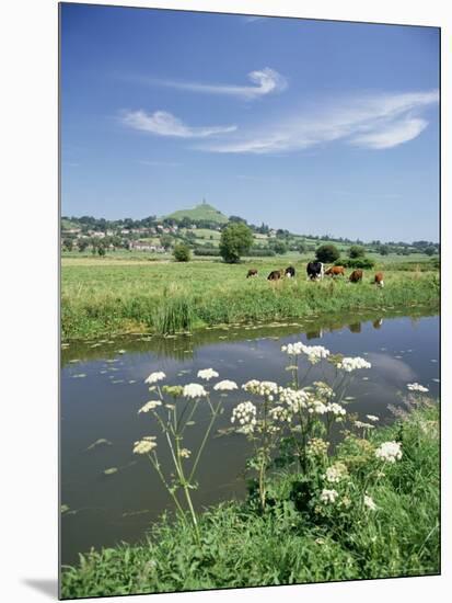 River Brue with Glastonbury Tor in the Distance, Somerset, England, United Kingdom-Chris Nicholson-Mounted Photographic Print