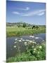 River Brue with Glastonbury Tor in the Distance, Somerset, England, United Kingdom-Chris Nicholson-Mounted Photographic Print