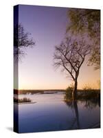 River Club Lodge, Sunset on Zambesi River, Zambia, Africa-Pitamitz Sergio-Stretched Canvas