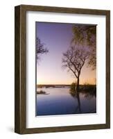 River Club Lodge, Sunset on Zambesi River, Zambia, Africa-Pitamitz Sergio-Framed Photographic Print