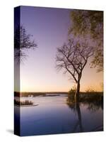 River Club Lodge, Sunset on Zambesi River, Zambia, Africa-Pitamitz Sergio-Stretched Canvas