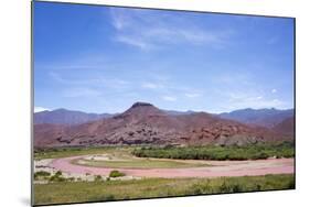 River Concha, Los Colorados, Salta Region, Argentina-Peter Groenendijk-Mounted Photographic Print