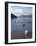 River Conwy Estuary Looking to Deganwy and Great Orme, Llandudno, Summer, Gwynedd, North Wales, UK-Peter Barritt-Framed Photographic Print