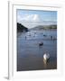 River Conwy Estuary Looking to Deganwy and Great Orme, Llandudno, Summer, Gwynedd, North Wales, UK-Peter Barritt-Framed Photographic Print