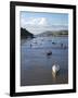 River Conwy Estuary Looking to Deganwy and Great Orme, Llandudno, Summer, Gwynedd, North Wales, UK-Peter Barritt-Framed Photographic Print