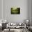 River Cottage in Summer-Jai Johnson-Framed Stretched Canvas displayed on a wall