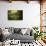 River Cottage in Summer-Jai Johnson-Framed Stretched Canvas displayed on a wall