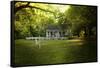 River Cottage in Summer-Jai Johnson-Framed Stretched Canvas