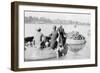 River Craft Laden with Melons, Tigris River, 1917-1919-null-Framed Giclee Print