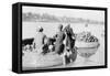 River Craft Laden with Melons, Tigris River, 1917-1919-null-Framed Stretched Canvas