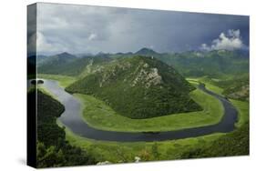 River Crnojevica with a Central Channel Between Aquatic Plants, Lake Skadar Np, Montenegro-Radisics-Stretched Canvas