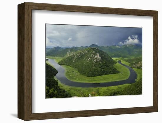 River Crnojevica with a Central Channel Between Aquatic Plants, Lake Skadar Np, Montenegro-Radisics-Framed Photographic Print