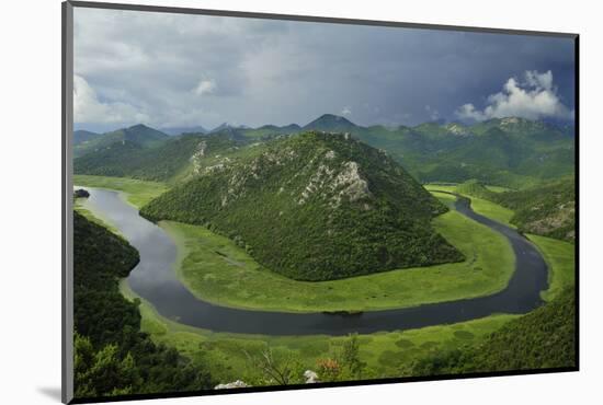 River Crnojevica with a Central Channel Between Aquatic Plants, Lake Skadar Np, Montenegro-Radisics-Mounted Photographic Print