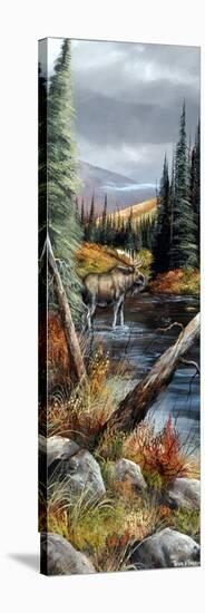 River Crossing-Trevor V. Swanson-Stretched Canvas