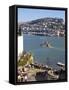 River Dart, Dartmouth, Devon, England, United Kingdom, Europe-Jeremy Lightfoot-Framed Stretched Canvas