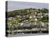 River Dart Estuary, Dartmouth, South Hams, Devon, England, United Kingdom-David Hughes-Stretched Canvas