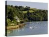 River Dart Estuary, Dartmouth, South Hams, Devon, England, United Kingdom-David Hughes-Stretched Canvas