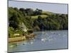 River Dart Estuary, Dartmouth, South Hams, Devon, England, United Kingdom-David Hughes-Mounted Photographic Print