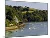 River Dart Estuary, Dartmouth, South Hams, Devon, England, United Kingdom-David Hughes-Mounted Photographic Print